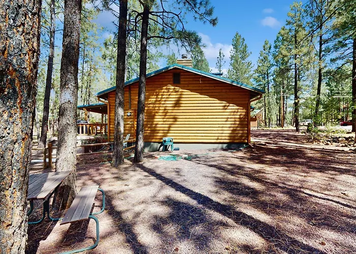 Dam Fun Indian Pine